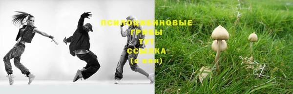ешки Алзамай