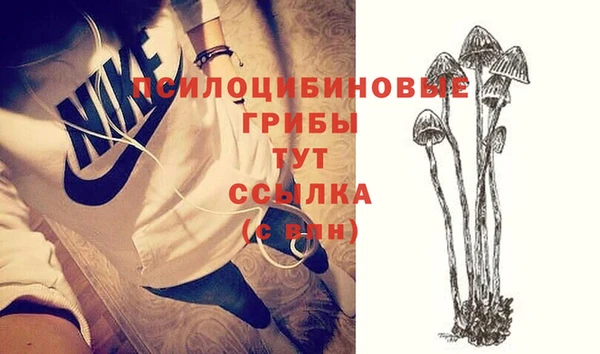 кокаин колумбия Алексин
